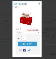 magento-add-free-promo-product-5