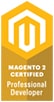 magento 2 professional developer